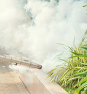 Zika Virus Infection Zika Virus Infection